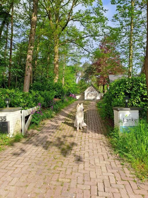 Lanke Garden Studio Rijsbergen Eksteriør bilde